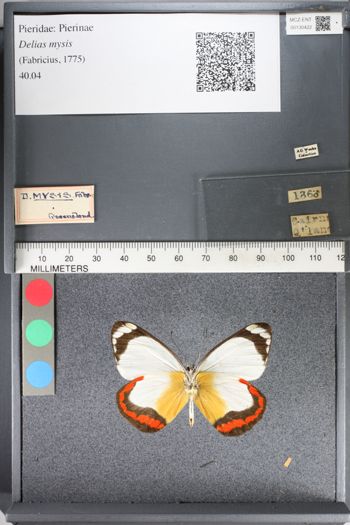 Media type: image;   Entomology 130422
